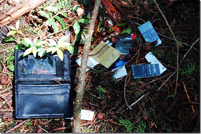 Abandoned bank cards and other belongings