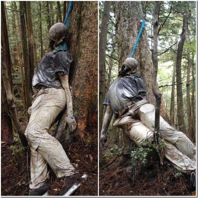 Somebody have not...